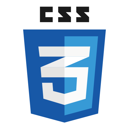 CSS Logo